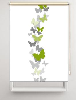 Rollo Papalone green  , Rollo, Motivrollo, Rollo mit Druck, Fotorollo, bedrucktes Rollo, Fensterrollo,verdunkelndes Rollo, Sonnenschutz Rollo